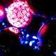 Illustration for article titled Shooting Challenge: Ornaments